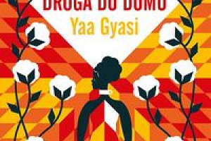 Usłyszeć stłumione głosy. Recenzja powieści „Droga do domu” Yai Gyasi