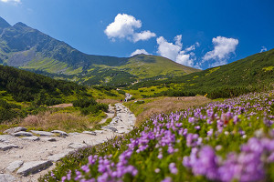 Planujesz wyjazd w Tatry? Zobacz jak się przygotować!