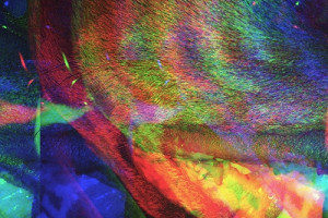 Frank Carter and the Rattlesnakes: album „Modern Ruin” już w sprzedaży!