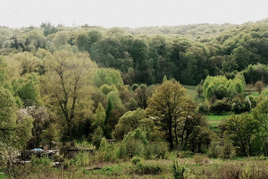 "Myślę obrazami" (wywiad z Igorem Kulikowskim)