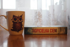 Uciekając przed prawdą ("Tropicielka cieni", Meg Gardiner)