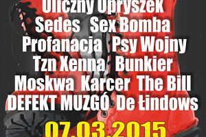 De Łindows oraz Defekt Muzgó na Punk Fest 2015