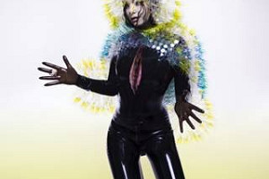 Björk „Vulnicura”