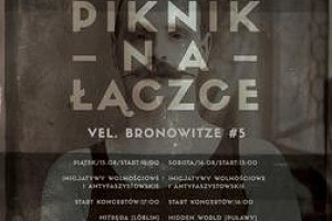 Punk Piknik na Łączce vel. Bronowitze #5