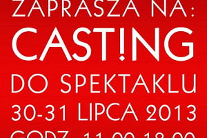 Casting w Teatrze Kamienica