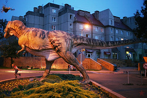 ,,Poza Kadrem" - cykl spotkań fotograficznych w Rondzie Sztuki