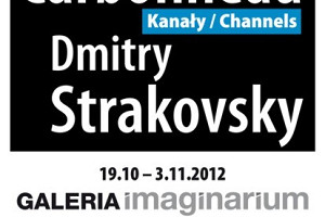 Tiffany Carbonneau & Dmitry Strakovsky, Kanały / Channels