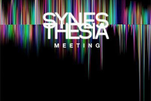 Synesthesia Meeting