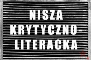 Nisza Krytycznoliteracka: Kamil Kwidziński