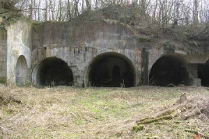 Międzynarodowy Festiwal Sztuki "Fort.Missia."